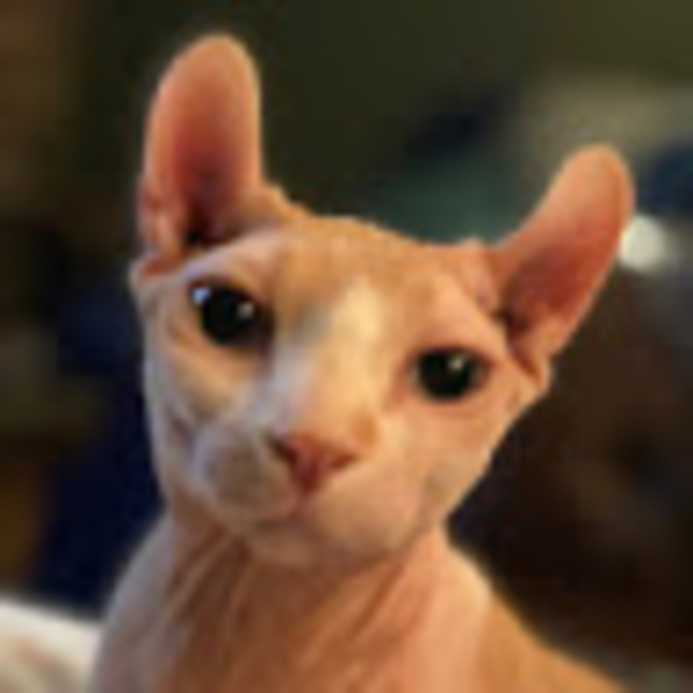 Meet your Posher, Christina